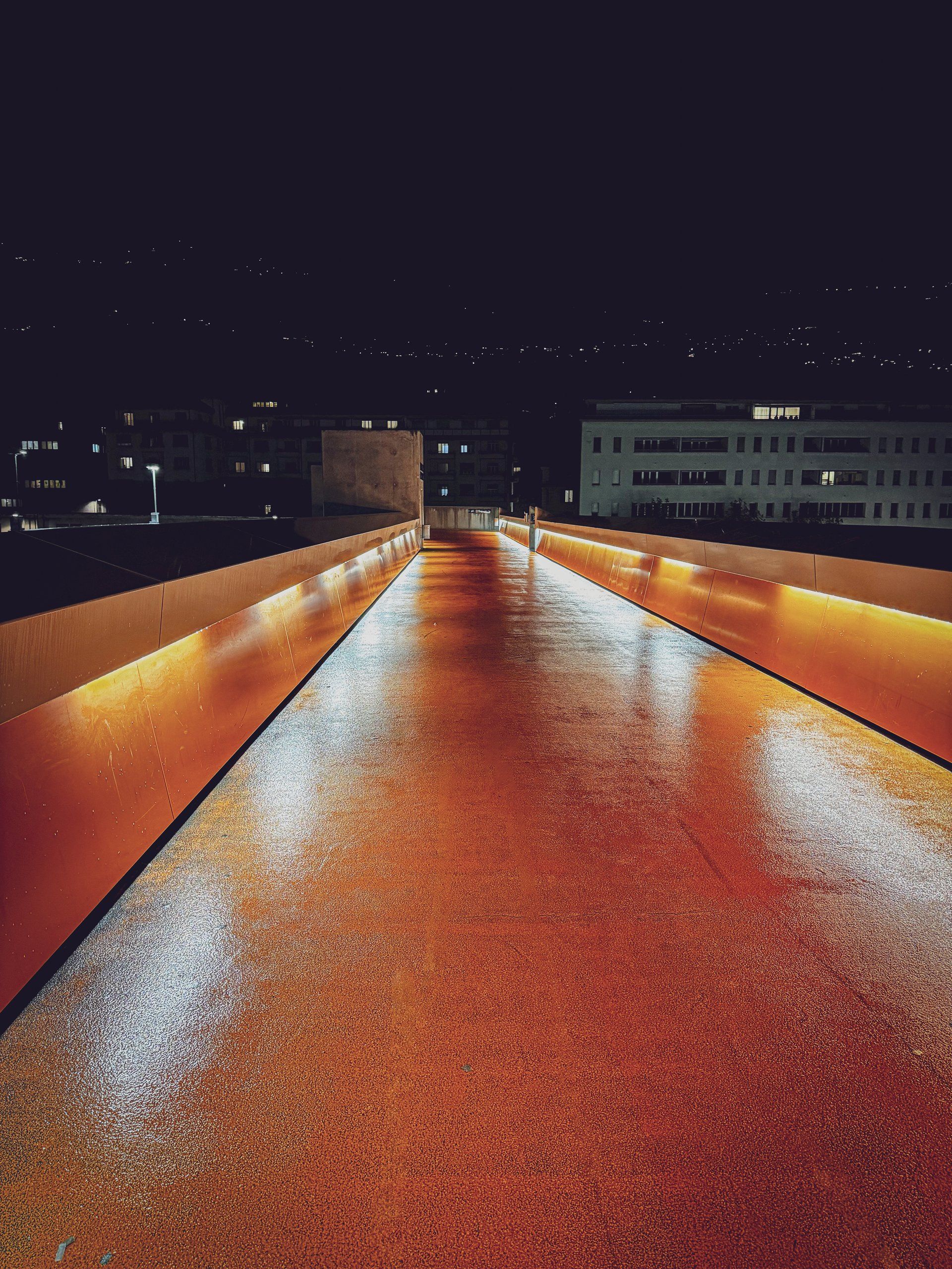 Valais by Night 2
